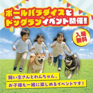ボールパラダイスとドッグランイベント開催！｜石川県のイベント｜ウッドライフホーム